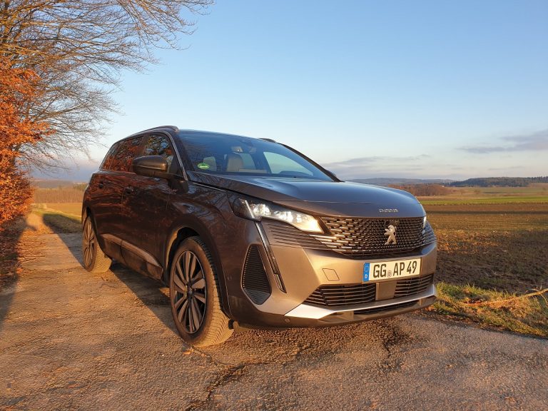 Der Löwe mit Charme und Charakter