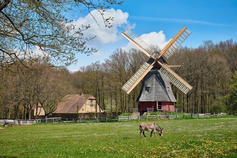 Sommerprogramm im Freilichtmuseum Kommern